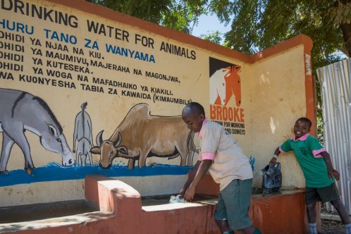 Children gather water from a trough in Kenya