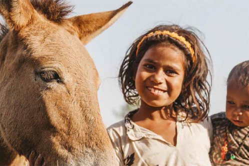 A young girl from Qalandar camp with a foal