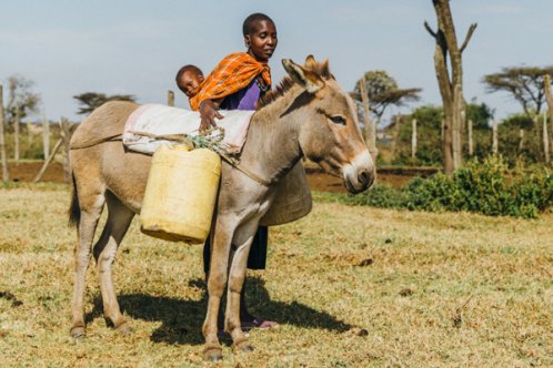 Mother and child standing with donkey in Kenya