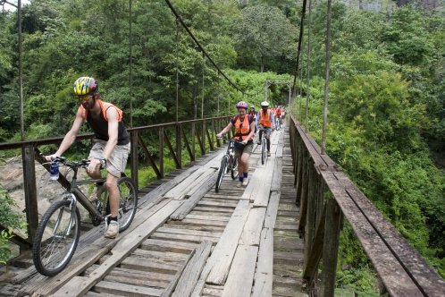 People cycling across a bridge with jungle in the background