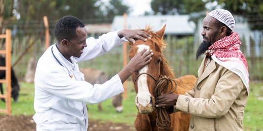 Dr Tasfae with a horse owner at Dodola health clinic