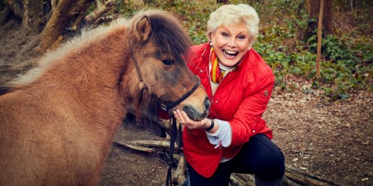 Angela Rippon shares six easy steps to writing a Will 