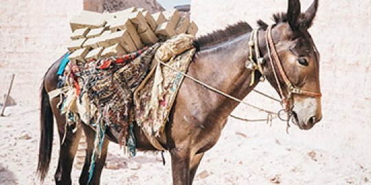 A brick kiln in India