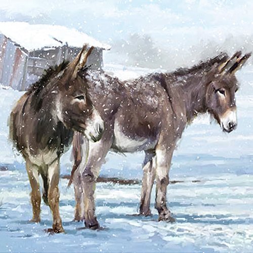 Brooke Christmas cards