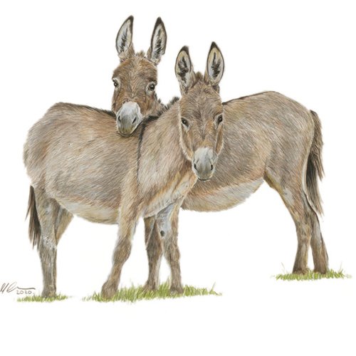 Brooke Notelets & Badges