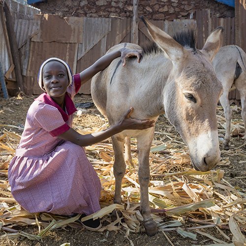 Girl and donkey in Kenya