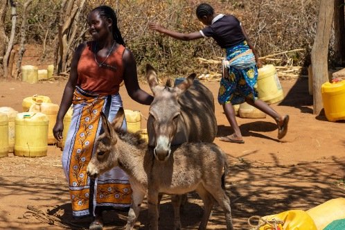 Water trough for animals, with two people filling up containers