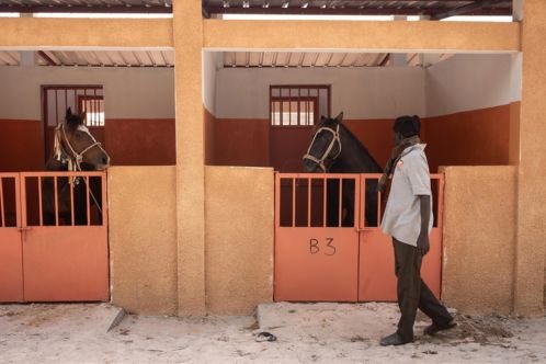 Two horses in a stable