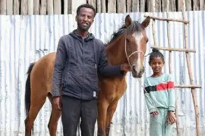 Brooke Protecting working donkeys, horses and mules