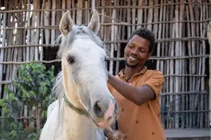 A person in an orange t-shirt strokes the head of a white horse