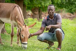 A man crouches down in the grass while gently touching a donkey who is eating
