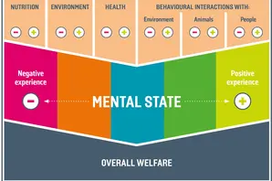 A poster showing the five domains of animal welfare