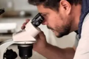 Fredred Valdivia leans on a counter looking through a microscope