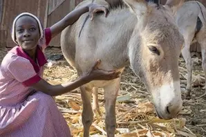 Girl with donkey looking at the camera