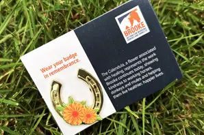 Image of horseshoe badge to mark Remembrance day