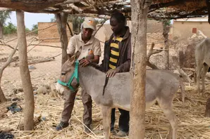 Aissetou Diallo (large).jpg