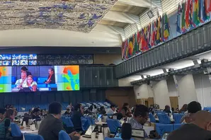 Anna at FAO large.jpg