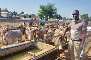 Emmanuel (summary).jpg