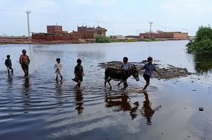 Flood impact and relief work in Hyderabad