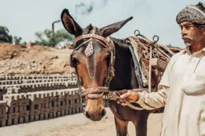 A man stands with a horse at a brick kiln in Pakistan