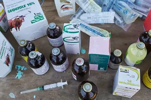 Vet medicines large.jpg