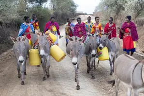 World Water Day UN blog.jpg