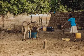 Diyenaba and Laura the donkey standing together outside