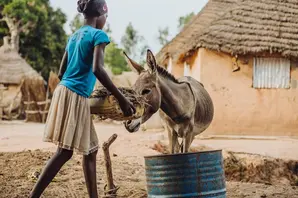 Dieynaba and Laura the donkey together