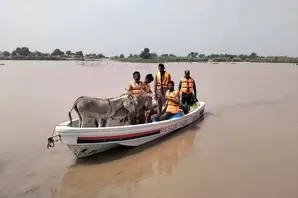 Donkeys and people on boat during Pakistan floods