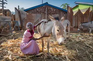 Girl with donkey in Kenya 