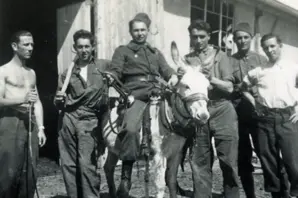 French soldiers with a donkey during WWII.