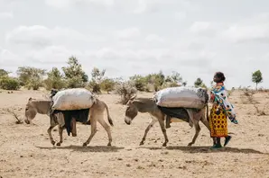 Donkeys carrying goods with women