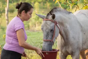 Woman feeds horse in Nicaragua