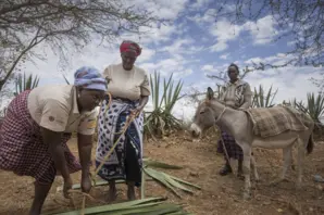 Women with donkey in Kenya