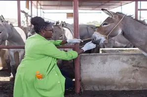 world vet day 24 large.jpg