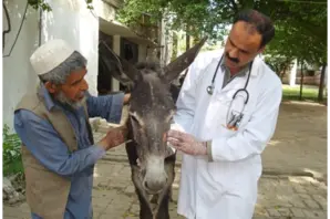 Dr Muhammad Javaid Khan