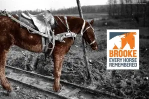 A horse stands on a black and white battlefield with the Every Horse Remembered Brooke logo