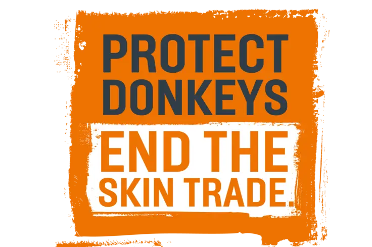 Protect donkeys end the skin trade - lgo 