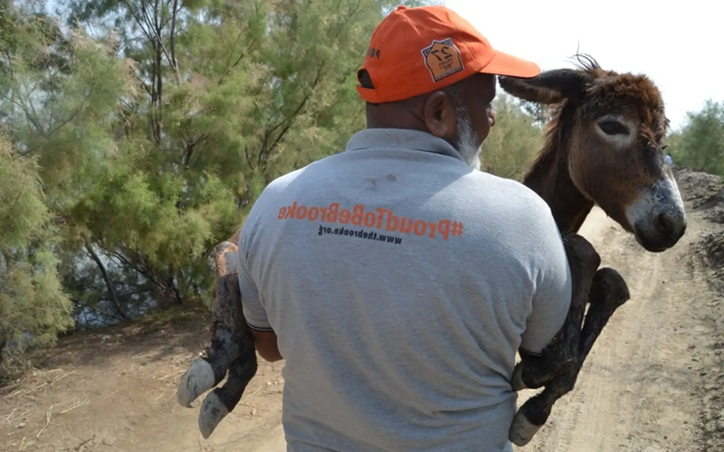 Brooke worker carrying donkey