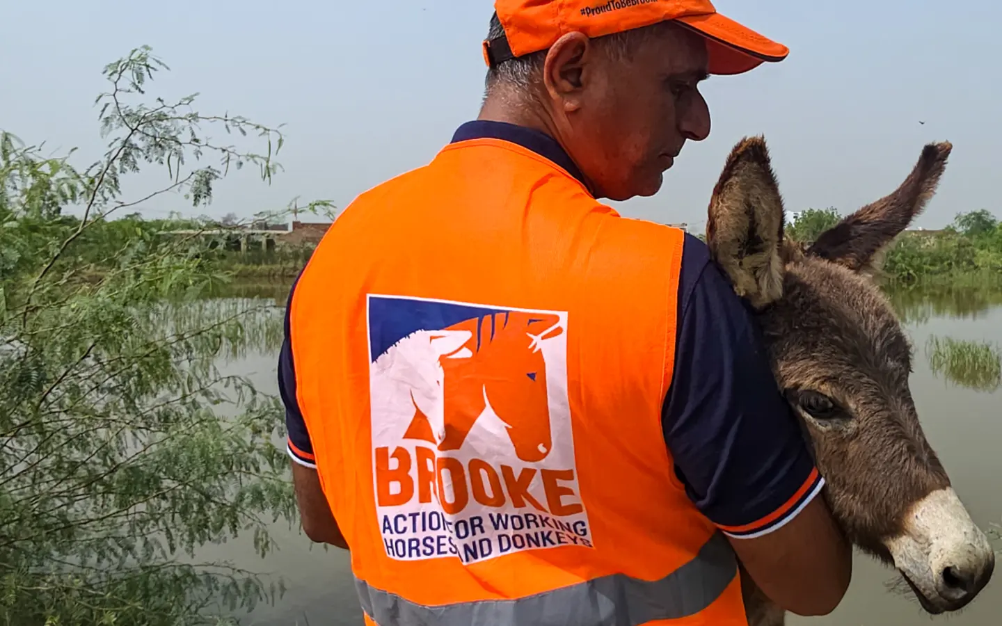 Brooke worker carrying donkey