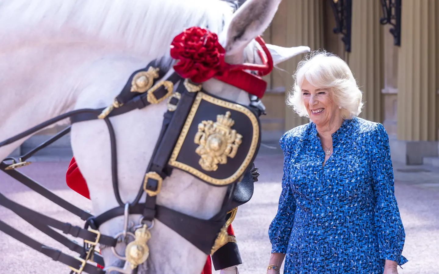 HM the Queen, dressed in a blue dress, is looking at a royal horse