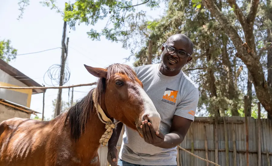 Vincent, an animal welfare officer and vet, stands with a brown horse while wearing a grey Brooke t-shirt with an orange logo