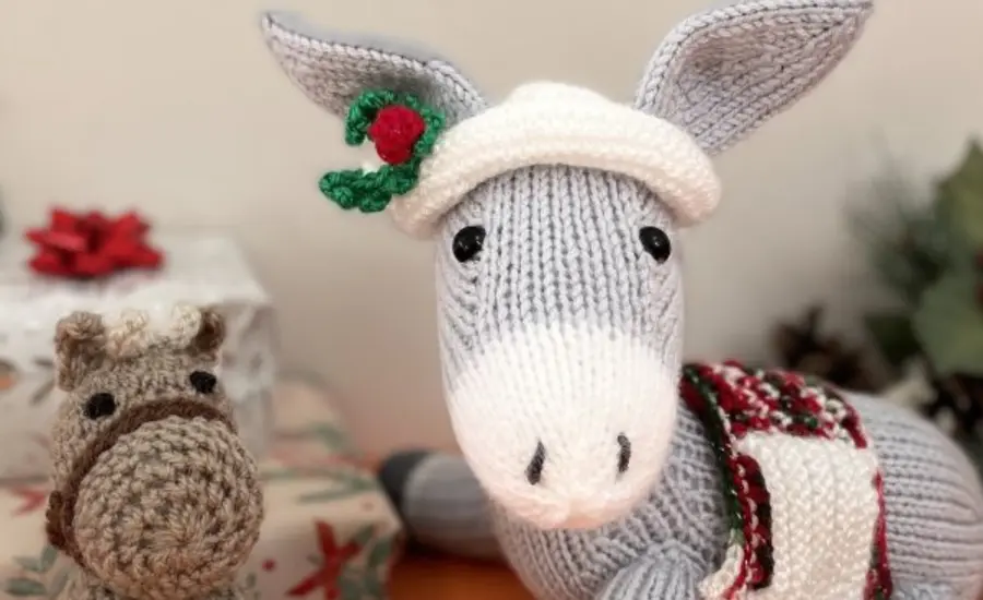 Knit and Craft for Brooke