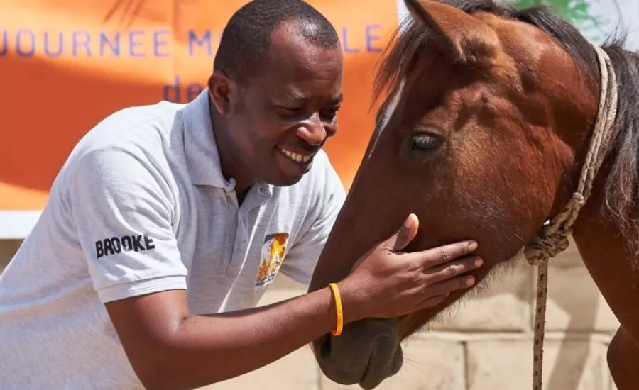 A man in a Brooke t-short holds a brown horse's face.