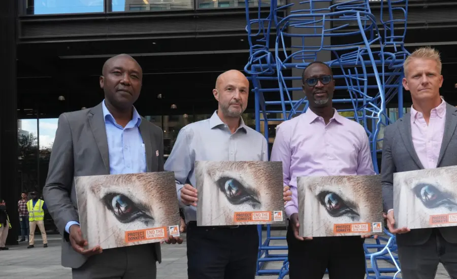 Brooke CEO Chris Wainwright joined Brooke Ambassador Dr Scott Miller and colleagues from East and West Africa at Amazon UK's London headquarters to hand in the petition.