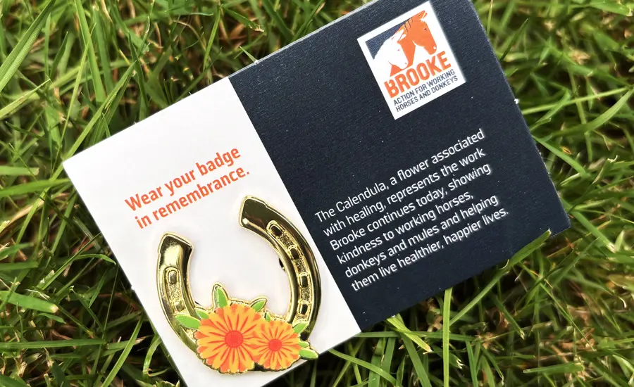 Image of horseshoe badge to mark Remembrance day