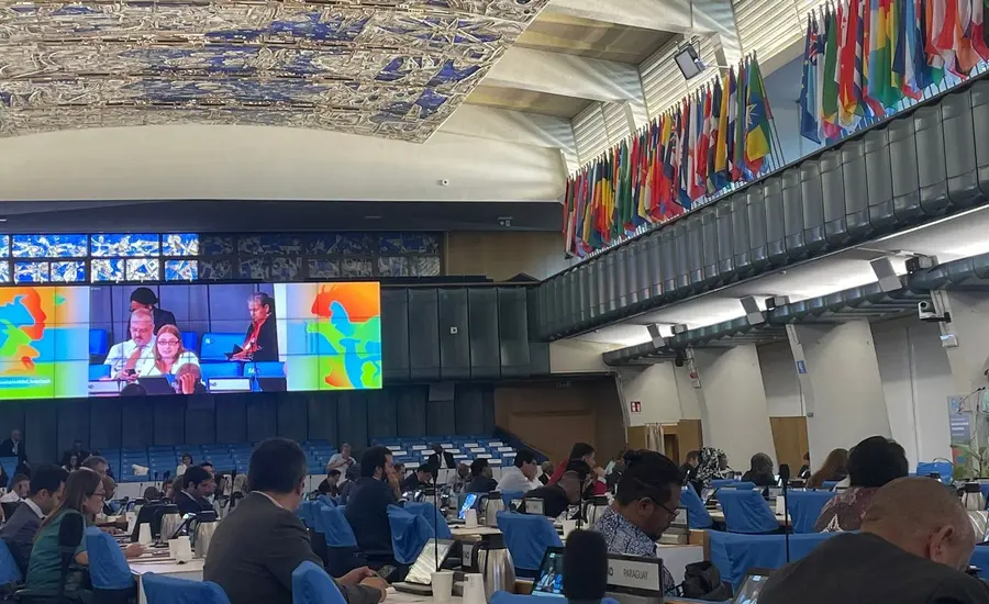 Anna at FAO large.jpg