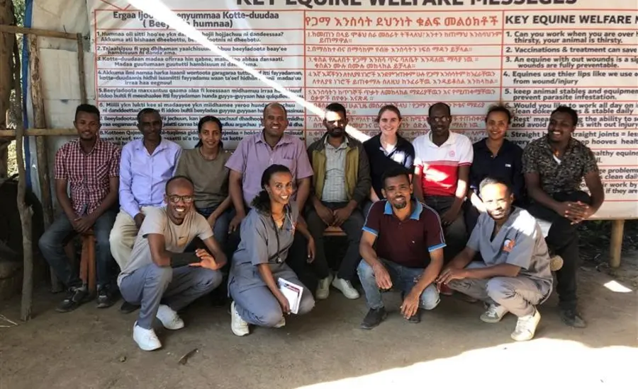 Brooke vets in Ethiopia.