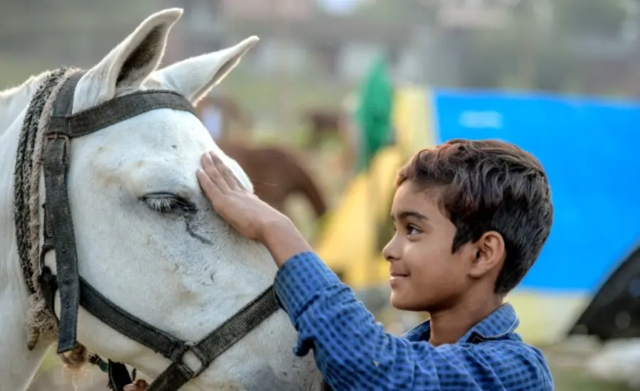 Photography Credit: Atul Loke