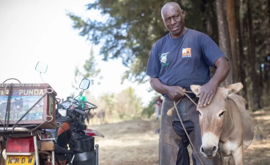 Credit: Bill Bradshaw 